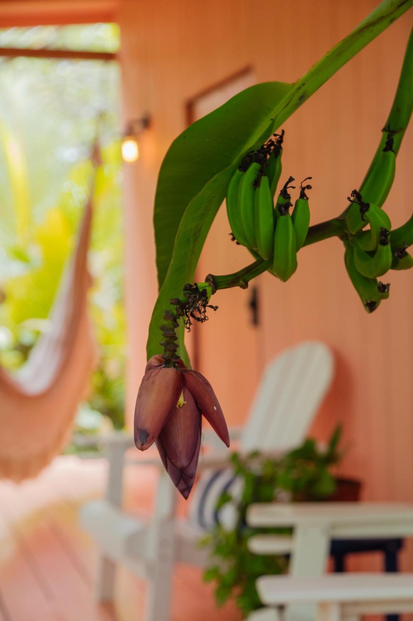 סנטה מרתה Solea Villa Tropical מראה חיצוני תמונה