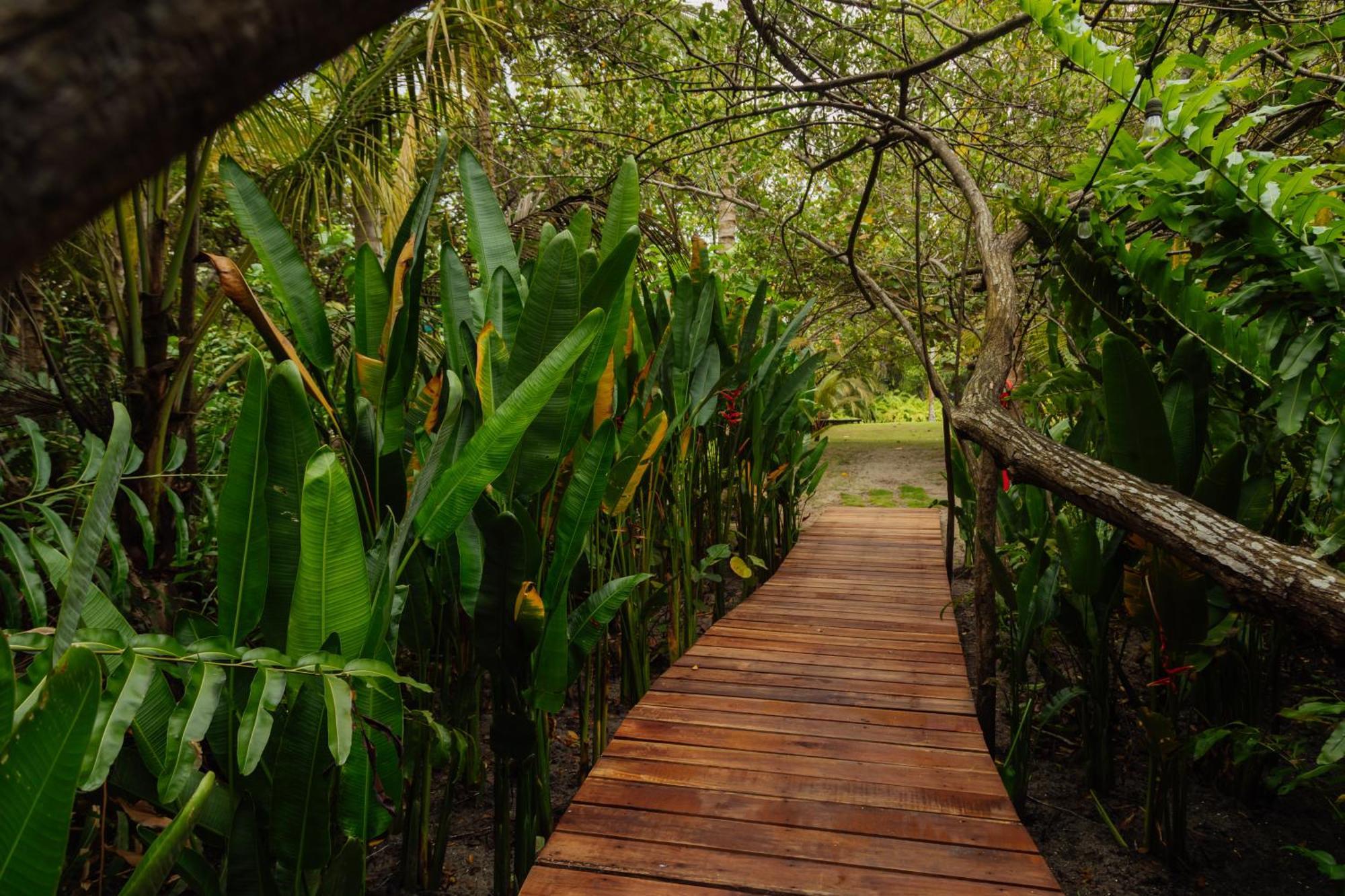 סנטה מרתה Solea Villa Tropical מראה חיצוני תמונה