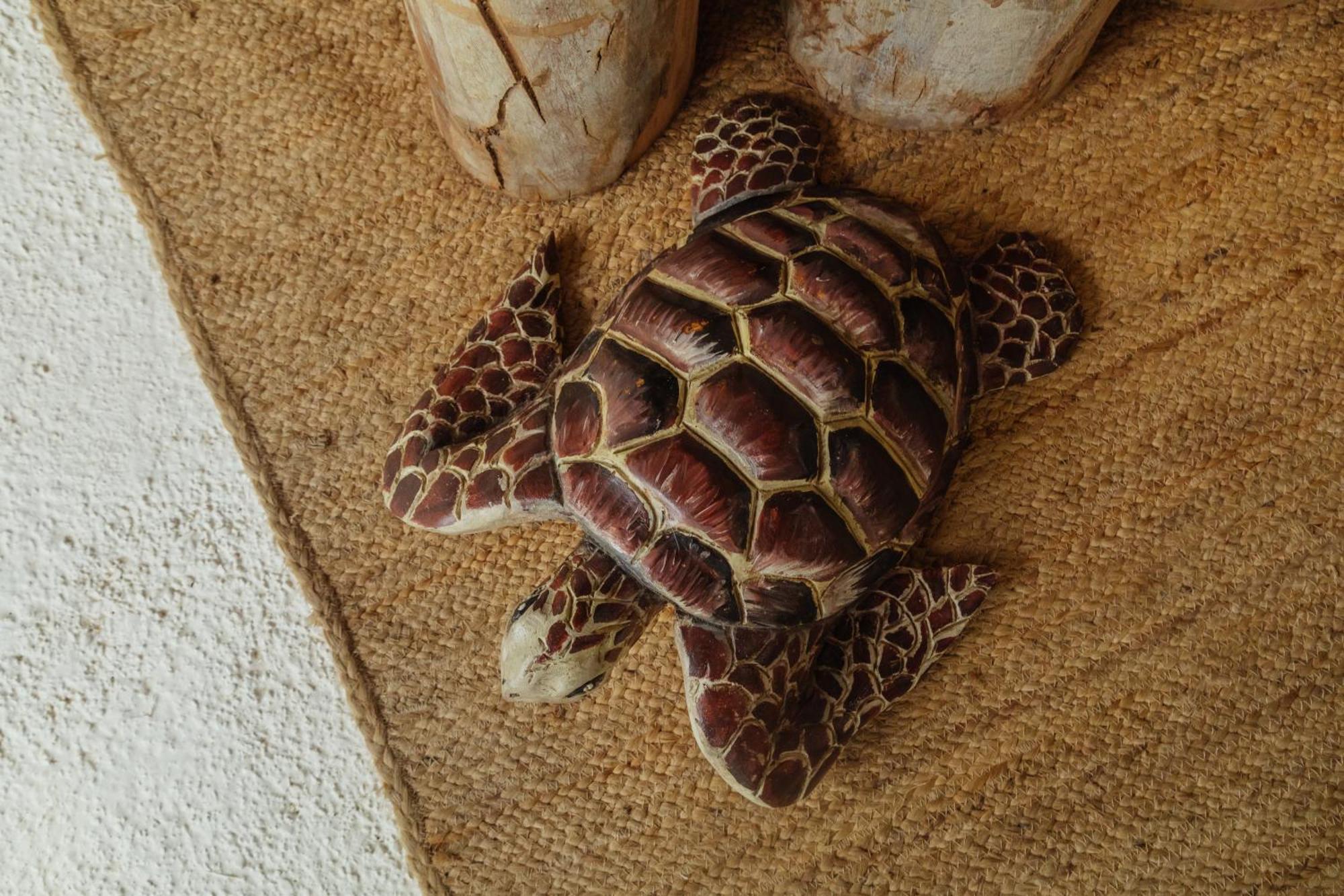סנטה מרתה Solea Villa Tropical מראה חיצוני תמונה