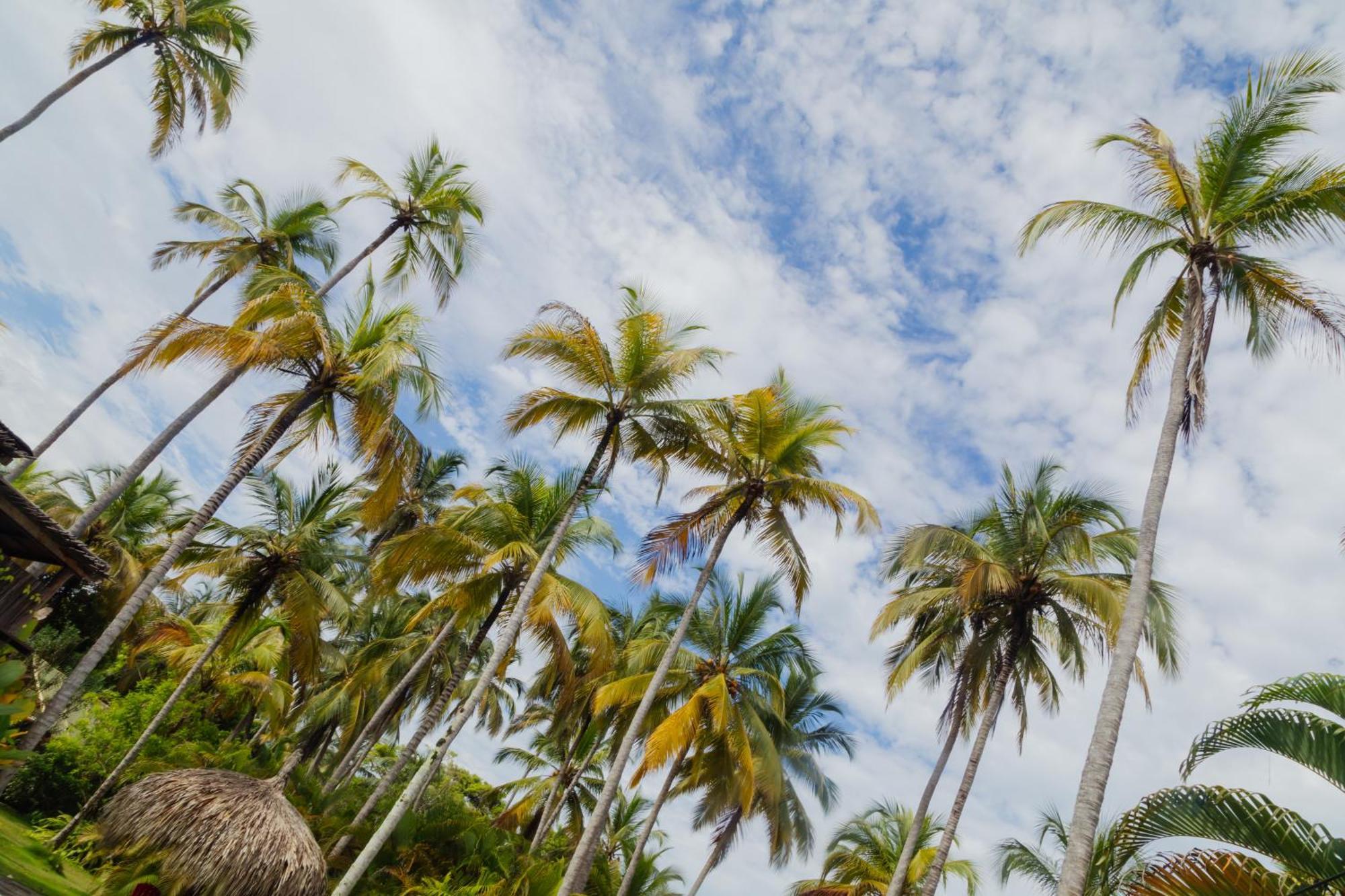סנטה מרתה Solea Villa Tropical מראה חיצוני תמונה