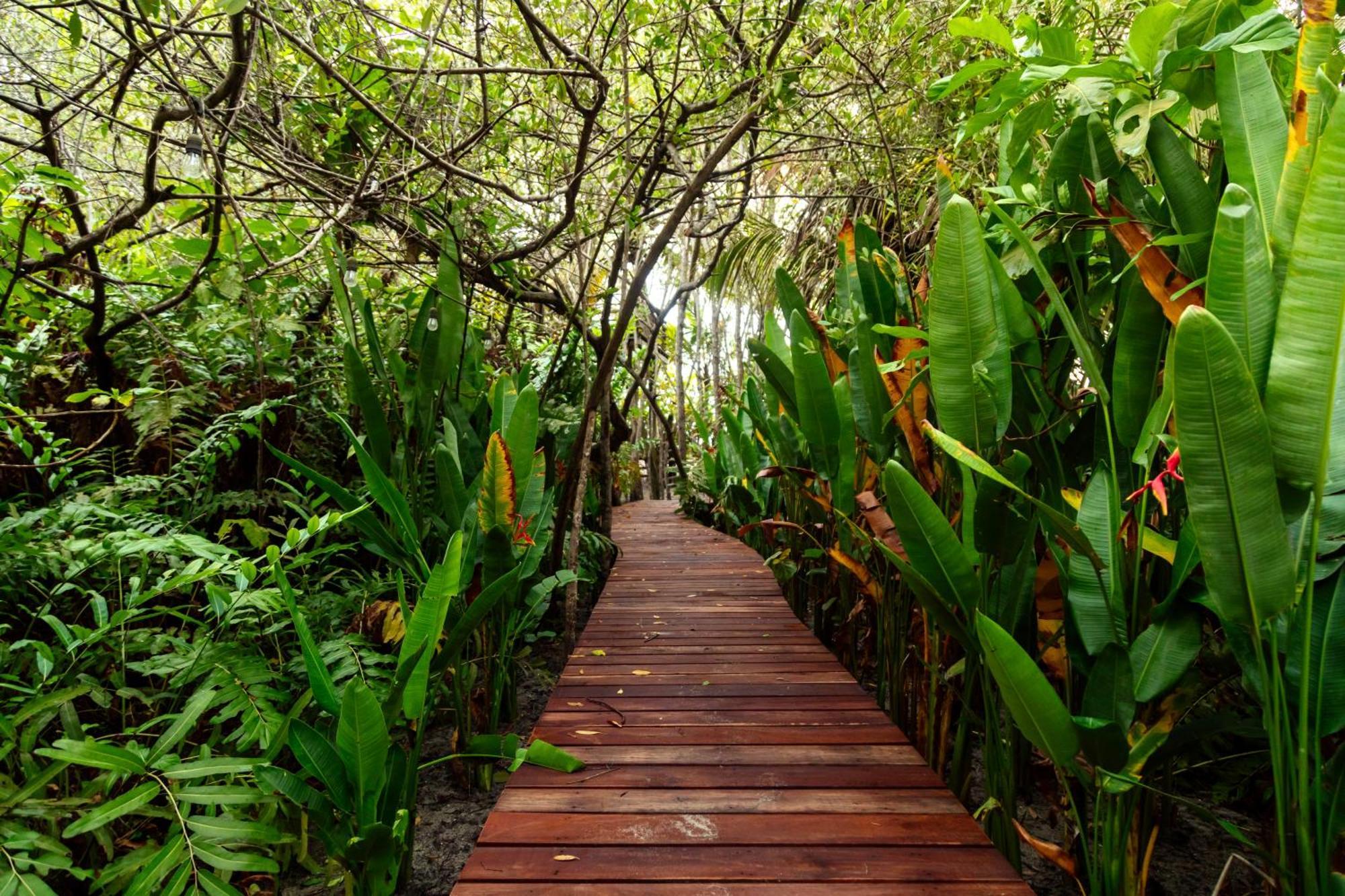 סנטה מרתה Solea Villa Tropical מראה חיצוני תמונה